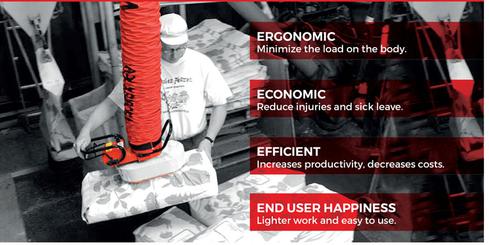 Vaculex Piab Group Airoyal Company